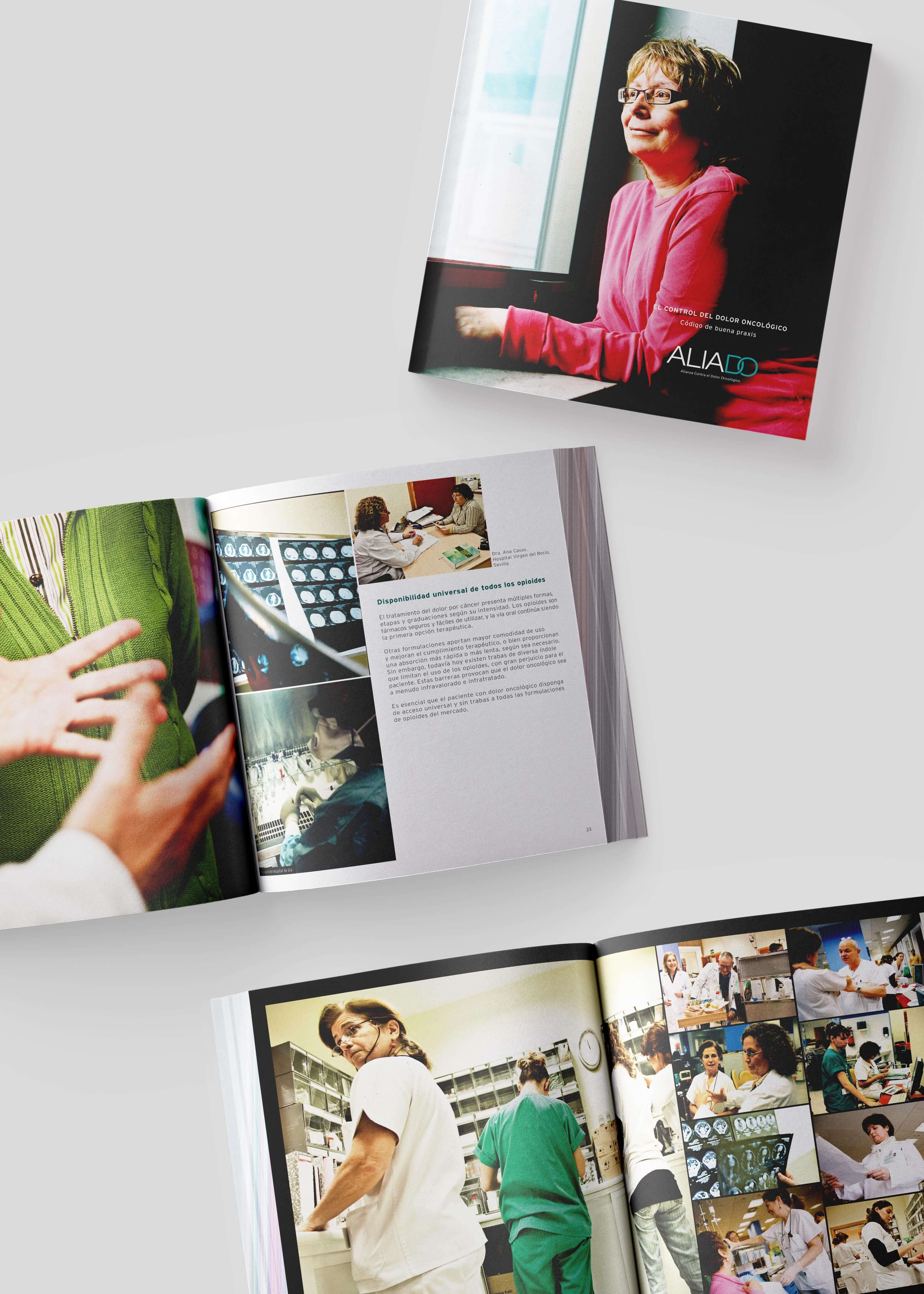 Llibre projecte ALIADO